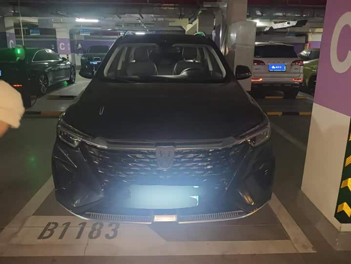 Фото 2 - Roewe RX5