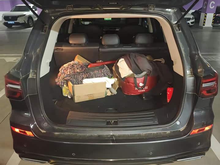 Фото 4 - Roewe RX5