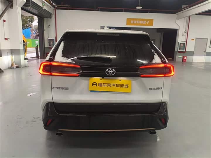 Фото 6 - Toyota Wildlander