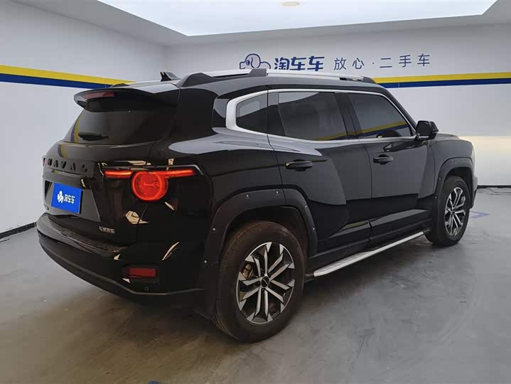 Фото 3 - Haval H-Dog