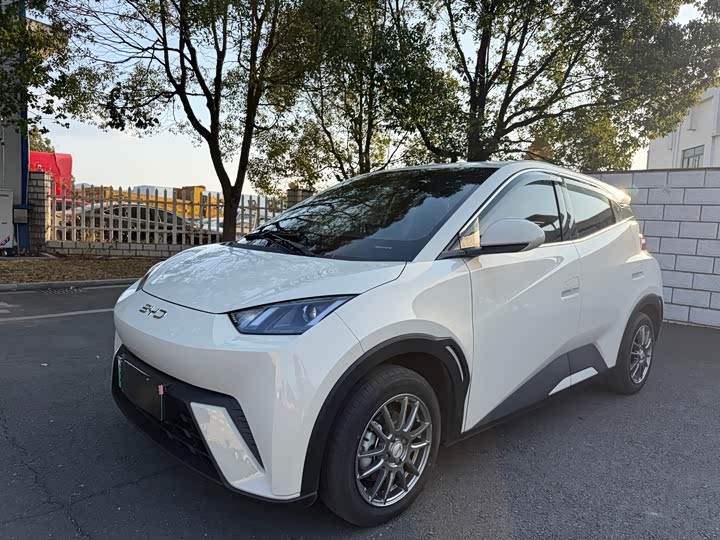 Фото 1 - BYD Seagull