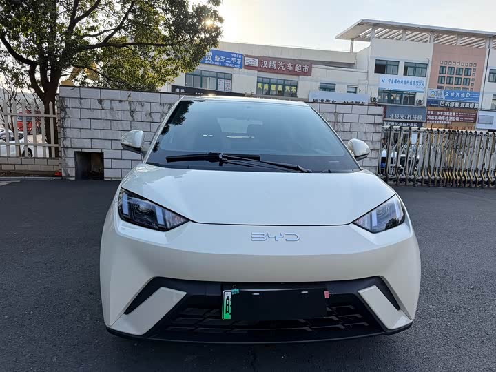 Фото 2 - BYD Seagull