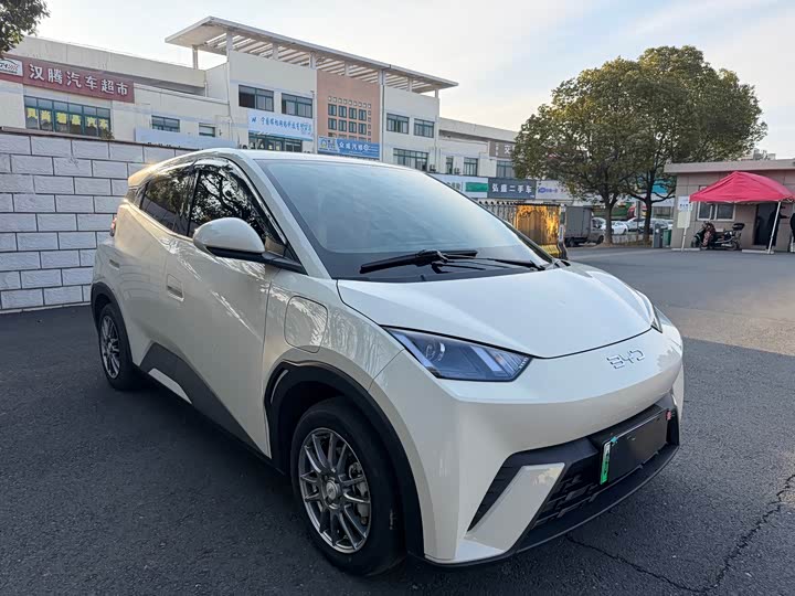 Фото 3 - BYD Seagull