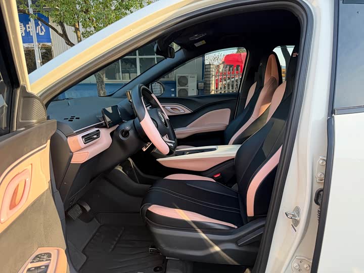 Фото 4 - BYD Seagull