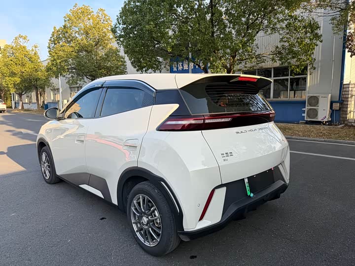 Фото 7 - BYD Seagull