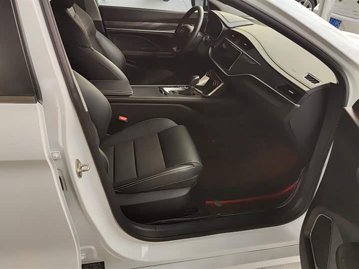 Фото 8 - Geely Binrui