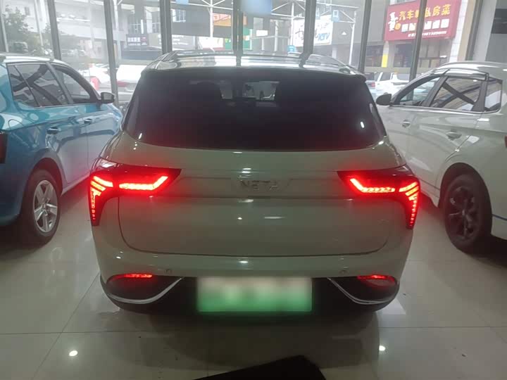 Фото 6 - Hozon V