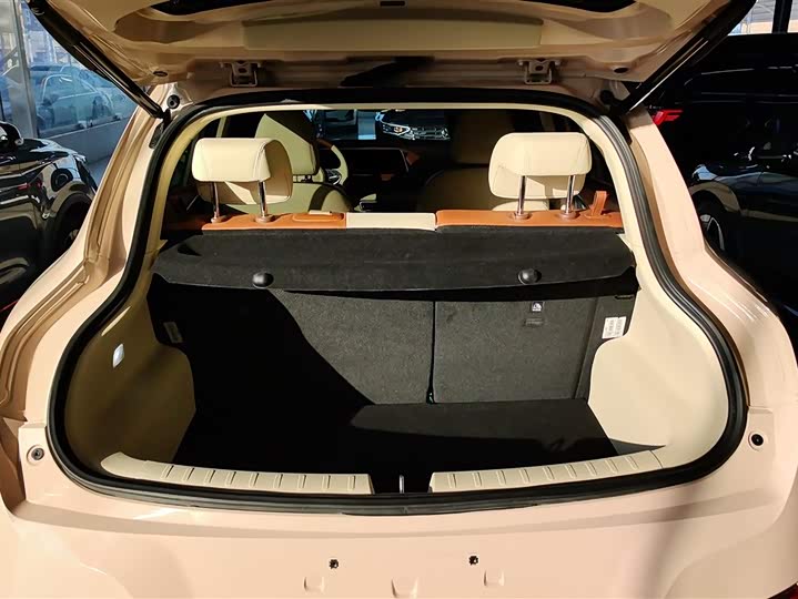 Фото 4 - Ora Good Cat (03)