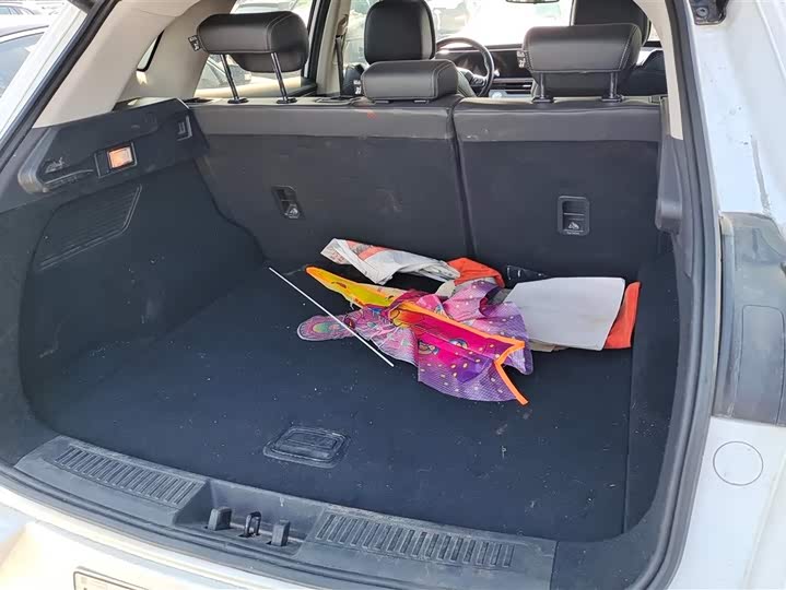 Фото 4 - Exeed LX C-DM Hybrid