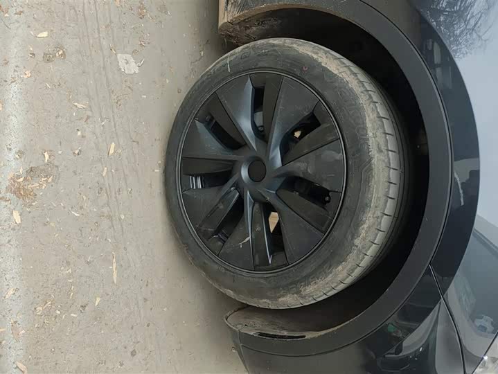 Фото 6 - Tesla Model Y