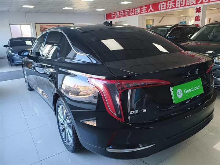 Фото 5 - Hongqi E-QM5