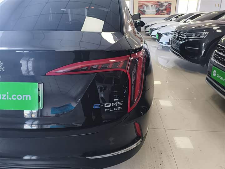 Фото 8 - Hongqi E-QM5