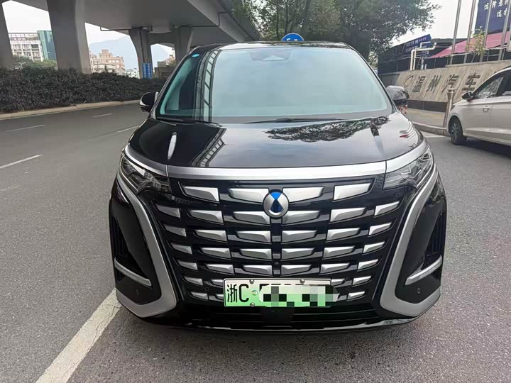 Фото 2 - Denza D9