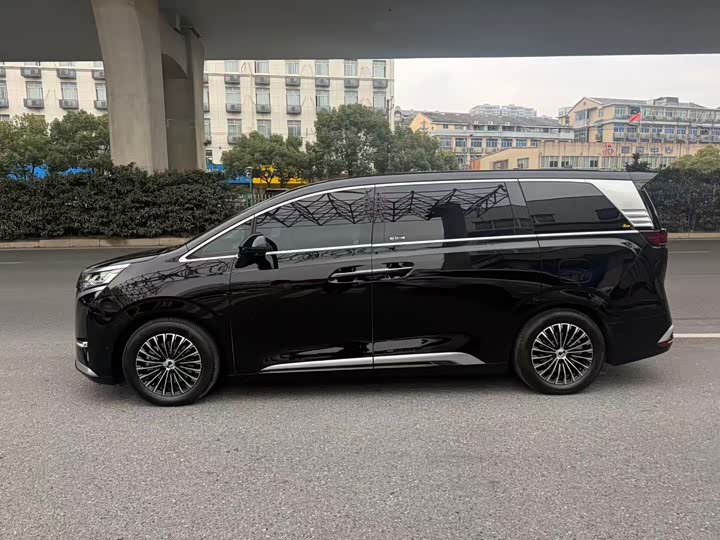 Фото 4 - Denza D9