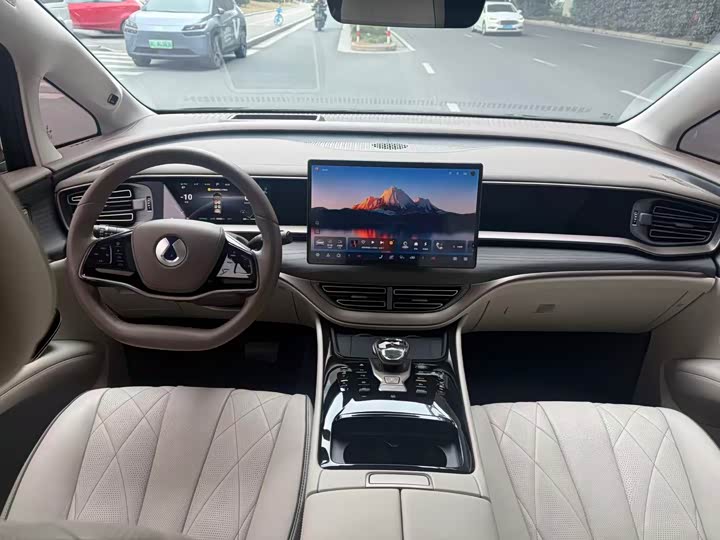 Фото 7 - Denza D9