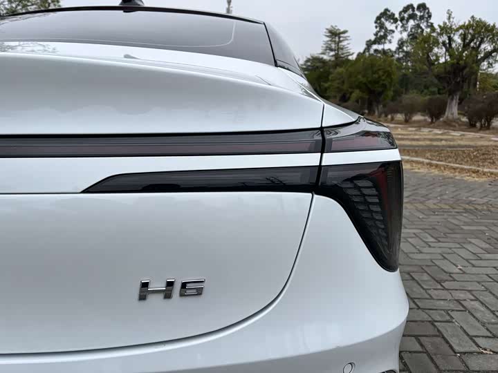 Фото 9 - Hongqi H6