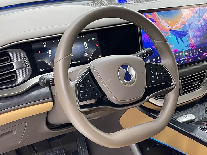 Фото 6 - Denza D9