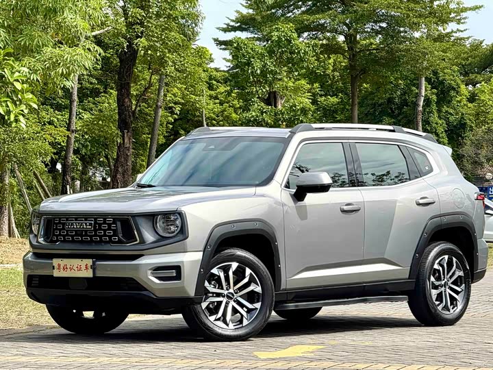 Фото 1 - Haval H-Dog