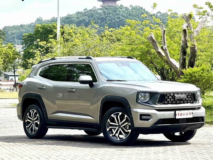 Фото 2 - Haval H-Dog