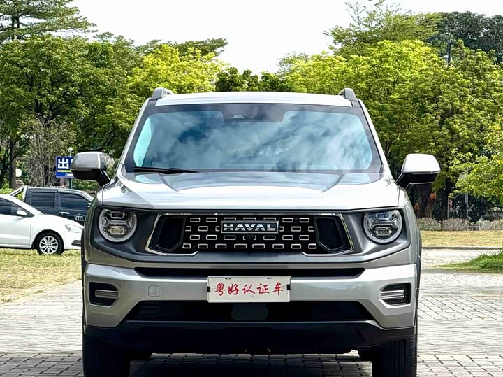 Фото 3 - Haval H-Dog