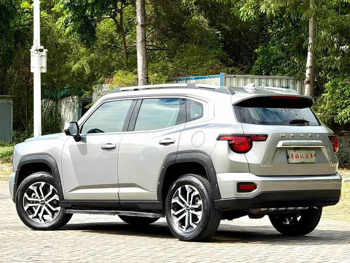 Фото 5 - Haval H-Dog