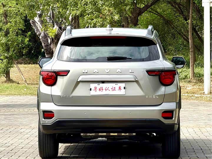 Фото 6 - Haval H-Dog