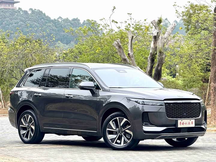 Фото 1 - LiXiang One