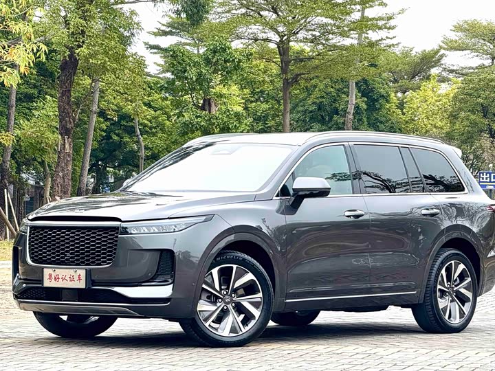 Фото 2 - LiXiang One