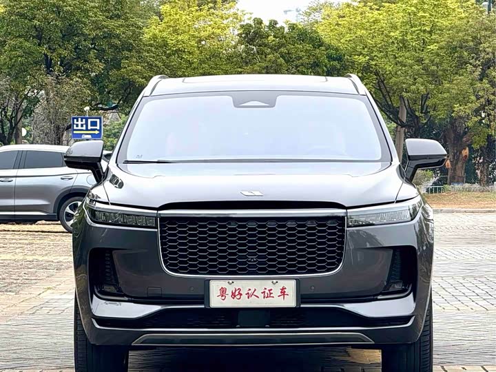 Фото 3 - LiXiang One