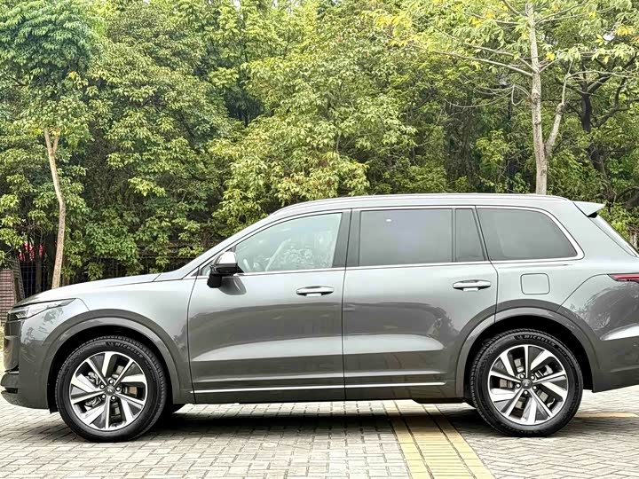 Фото 4 - LiXiang One