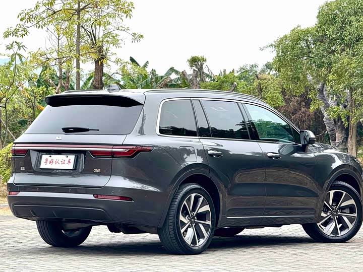 Фото 7 - LiXiang One