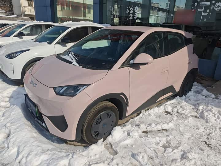 Фото 2 - BYD Seagull