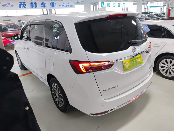 Фото 5 - Buick GL8 ES