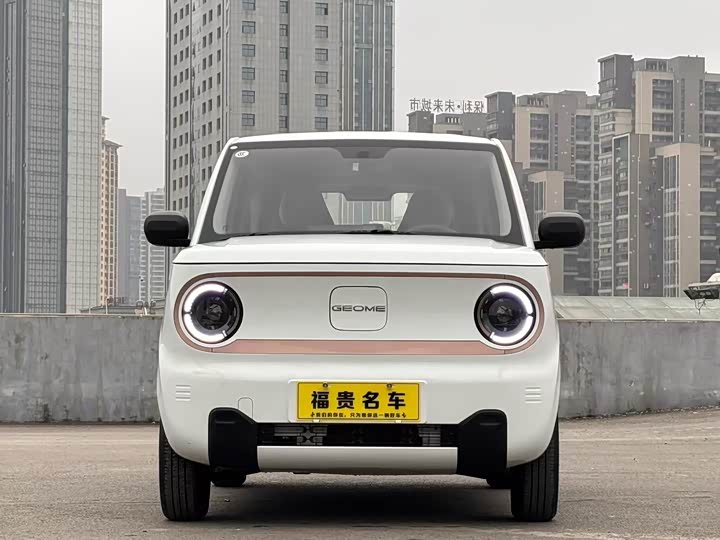 Фото 2 - Geely Galaxy Panda Mini