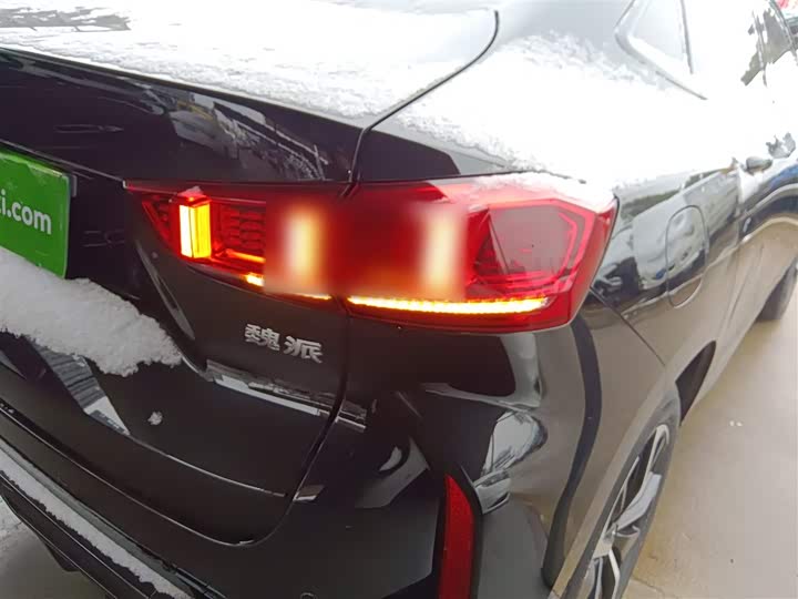 Фото 8 - Wey VV7 GT