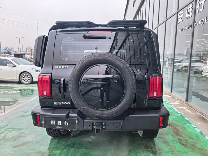 Фото 6 - Tank 300