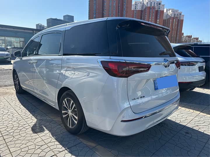 Фото 5 - Buick GL8 ES