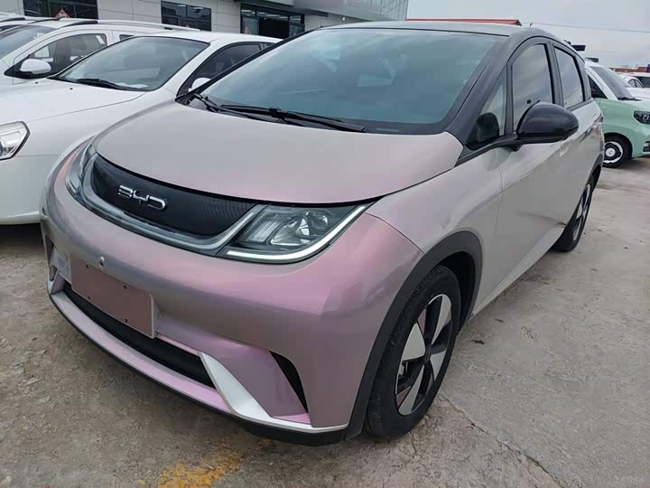 Фото 2 - BYD Dolphin