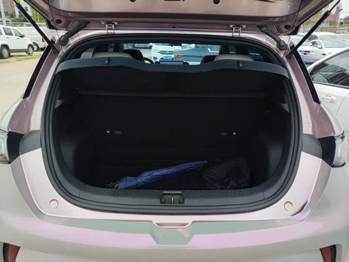 Фото 9 - BYD Dolphin