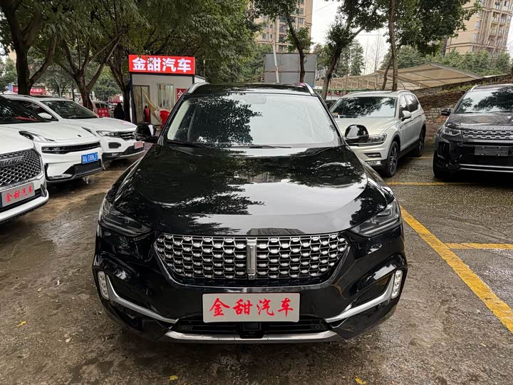 Фото 2 - Wey VV6