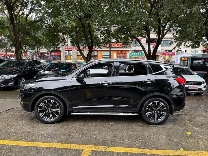 Фото 3 - Wey VV6