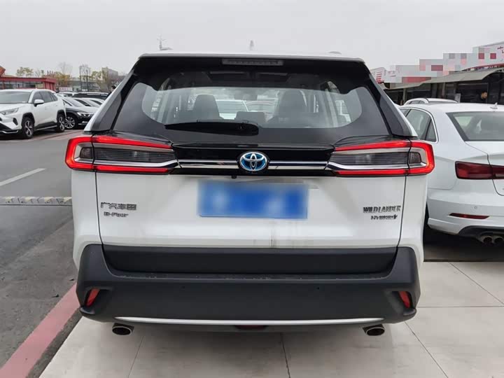 Фото 6 - Toyota Wildlander