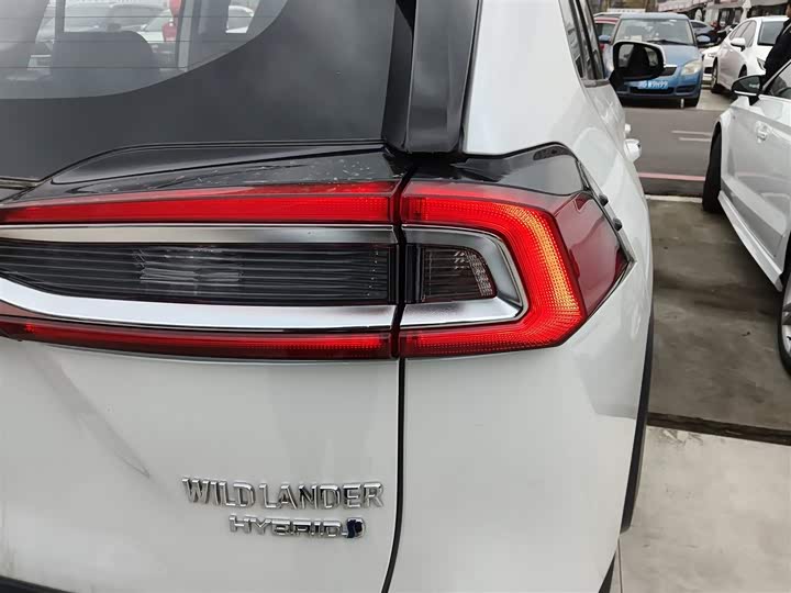 Фото 8 - Toyota Wildlander