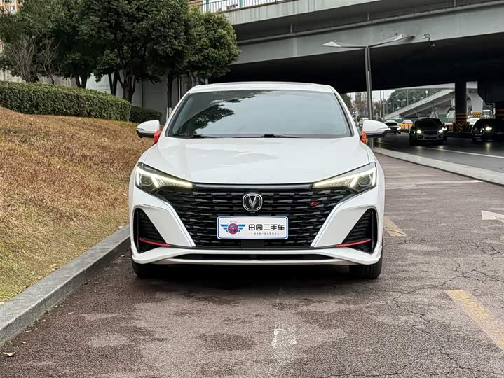 Фото 2 - Changan Eado Plus