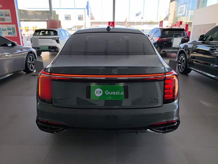 Фото 6 - Hongqi H9