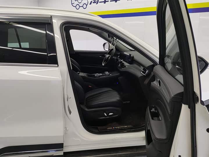 Фото 8 - Ford Equator