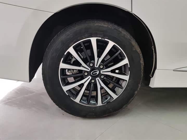 Фото 6 - GAC Trumpchi M8