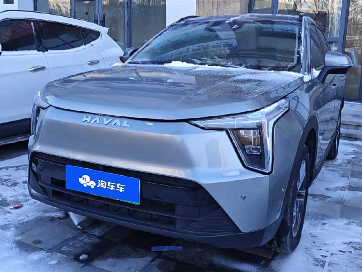 Фото 2 - Haval Ruge