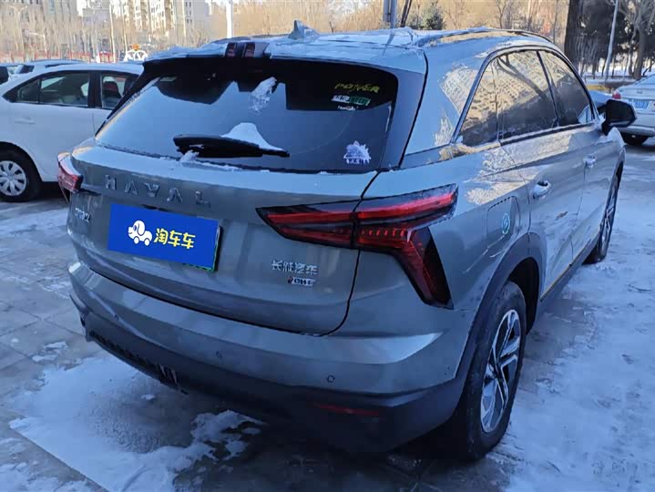 Фото 3 - Haval Ruge