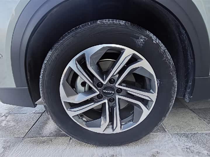 Фото 6 - Haval Ruge